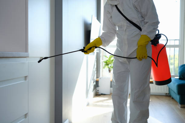 Professional Mold Removal in Jamestown, ND