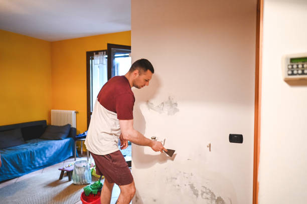 Best Affordable Mold Removal  in Jamestown, ND